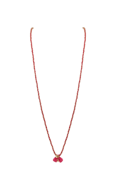 #color_tomato-red